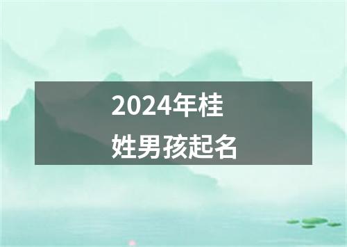 2024年桂姓男孩起名