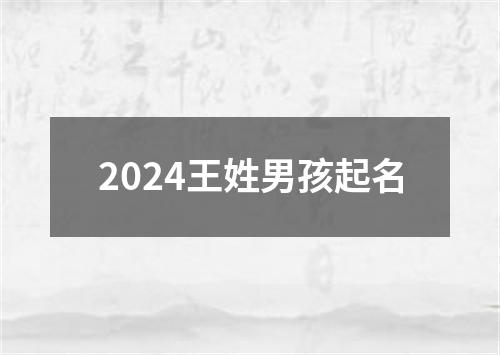 2024王姓男孩起名