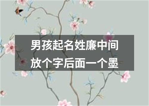 男孩起名姓廉中间放个字后面一个墨