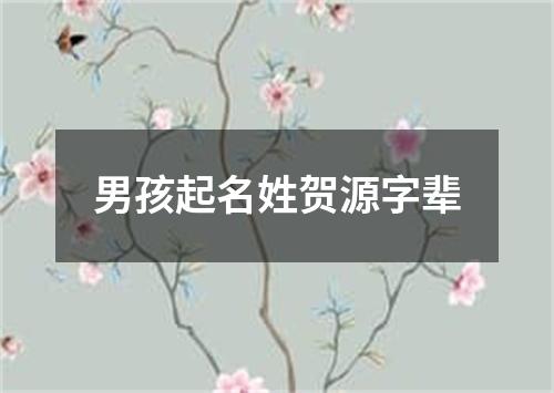 男孩起名姓贺源字辈