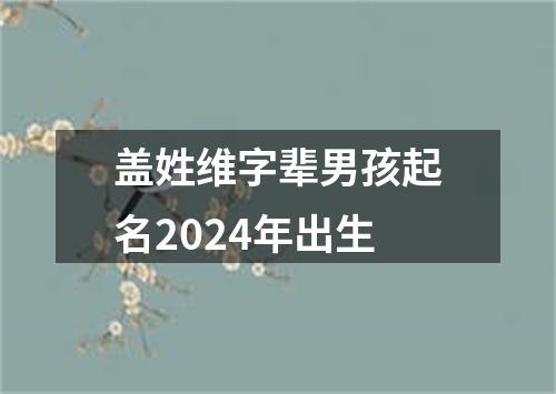 盖姓维字辈男孩起名2024年出生