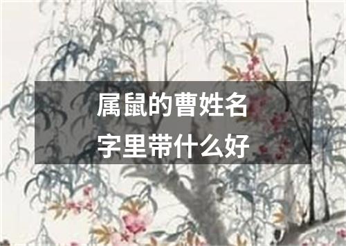 属鼠的曹姓名字里带什么好