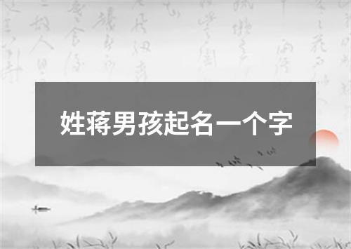 姓蒋男孩起名一个字