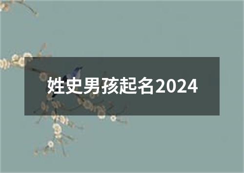 姓史男孩起名2024