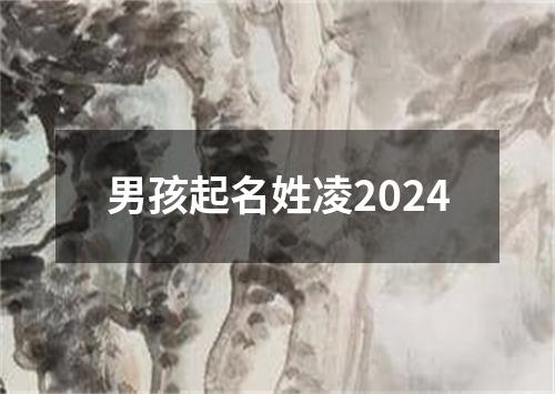 男孩起名姓凌2024