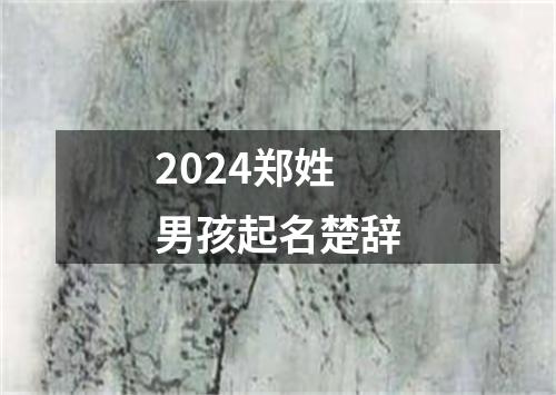 2024郑姓男孩起名楚辞