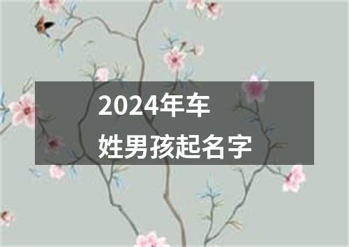 2024年车姓男孩起名字