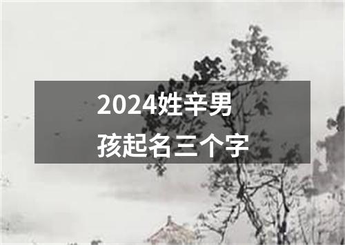 2024姓辛男孩起名三个字