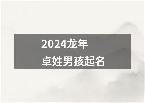 2024龙年卓姓男孩起名