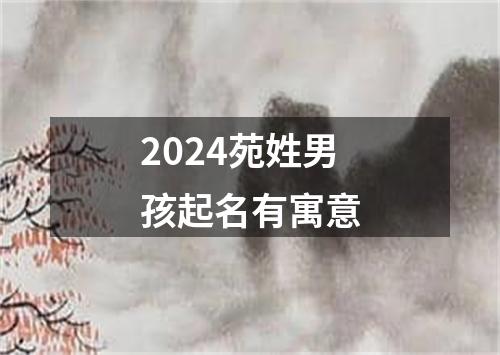 2024苑姓男孩起名有寓意