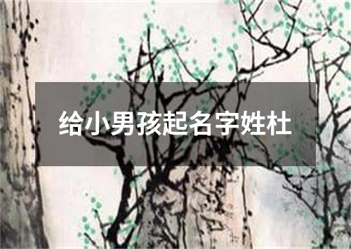 给小男孩起名字姓杜