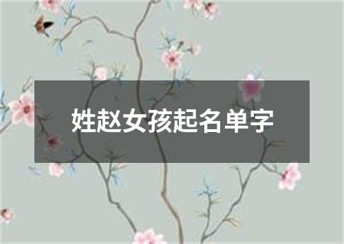 姓赵女孩起名单字