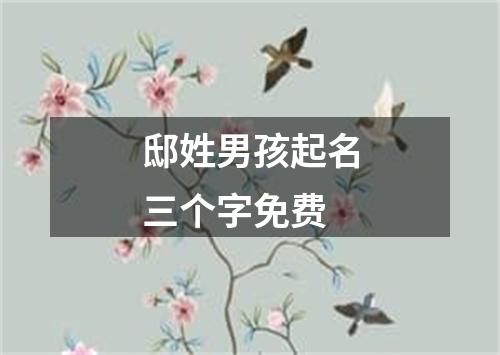 邸姓男孩起名三个字免费