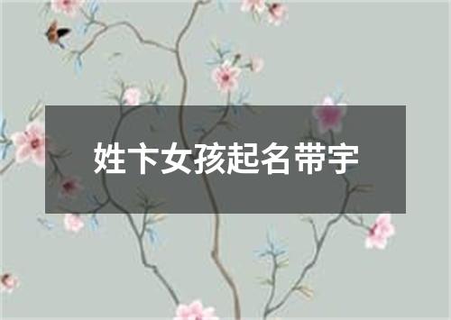 姓卞女孩起名带宇