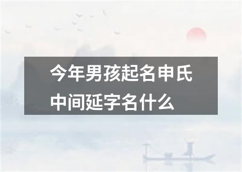 今年男孩起名申氏中间延字名什么