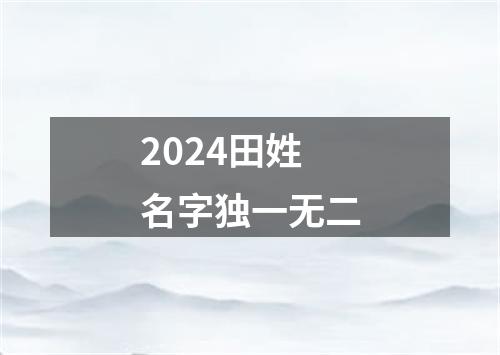 2024田姓名字独一无二