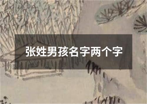 张姓男孩名字两个字