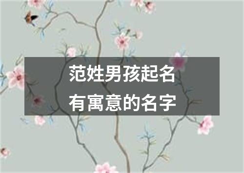 范姓男孩起名有寓意的名字