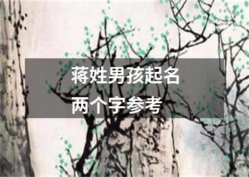 蒋姓男孩起名两个字参考