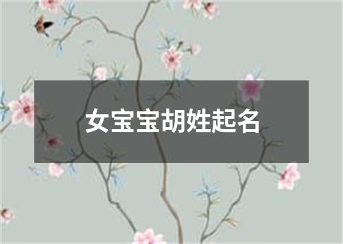 女宝宝胡姓起名