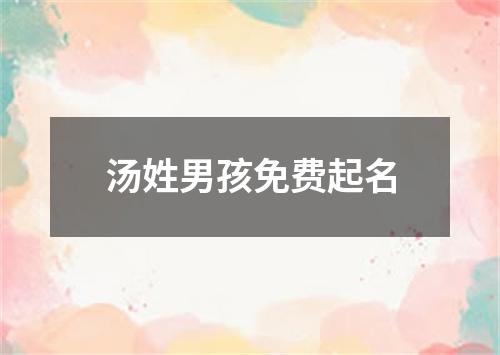 汤姓男孩免费起名