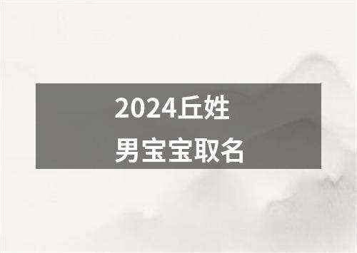 2024丘姓男宝宝取名