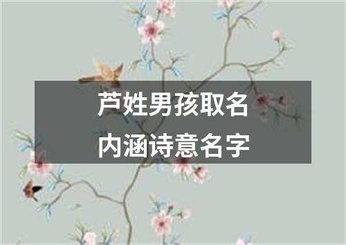 芦姓男孩取名内涵诗意名字