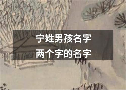 宁姓男孩名字两个字的名字