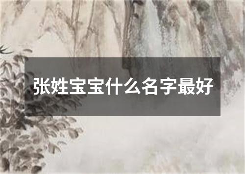 张姓宝宝什么名字最好