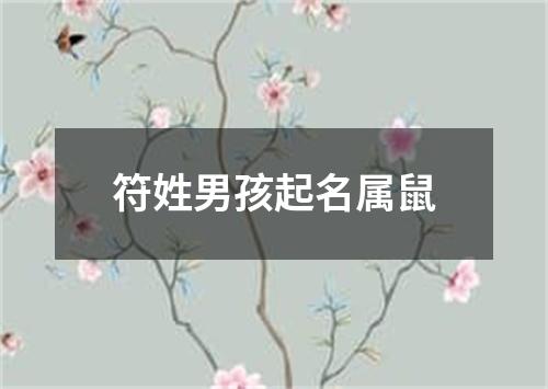 符姓男孩起名属鼠