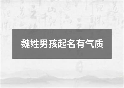 魏姓男孩起名有气质