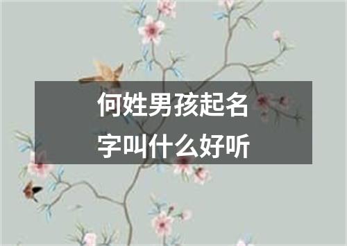 何姓男孩起名字叫什么好听