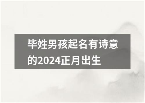 毕姓男孩起名有诗意的2024正月出生