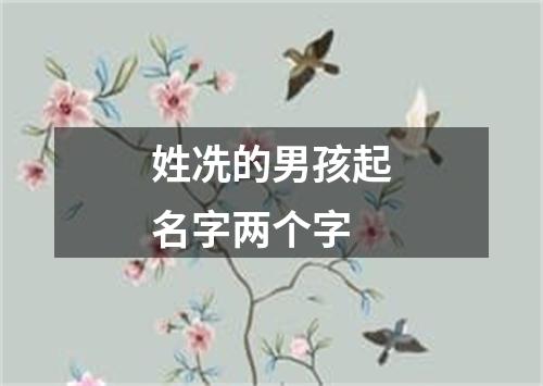 姓冼的男孩起名字两个字