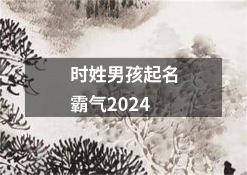 时姓男孩起名霸气2024