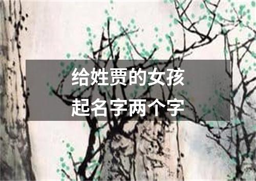 给姓贾的女孩起名字两个字