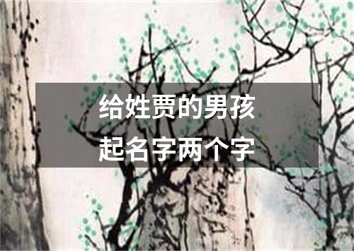 给姓贾的男孩起名字两个字