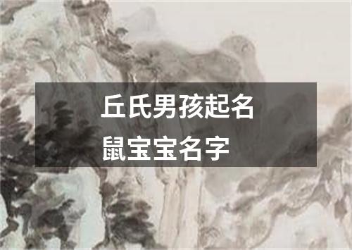 丘氏男孩起名鼠宝宝名字