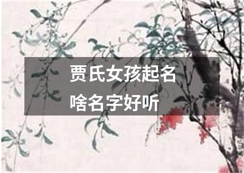 贾氏女孩起名啥名字好听