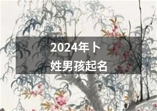 2024年卜姓男孩起名