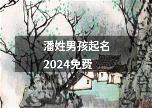 潘姓男孩起名2024免费