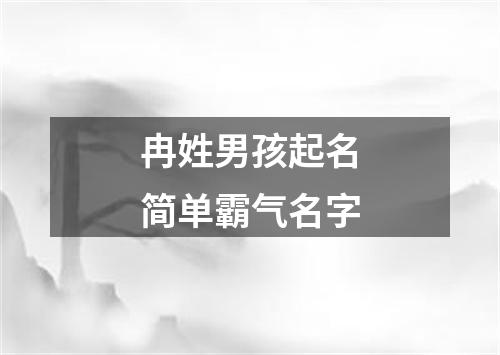 冉姓男孩起名简单霸气名字