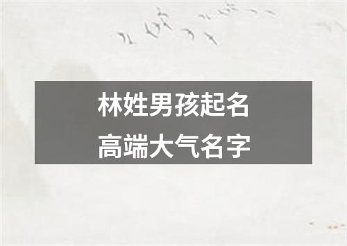 林姓男孩起名高端大气名字