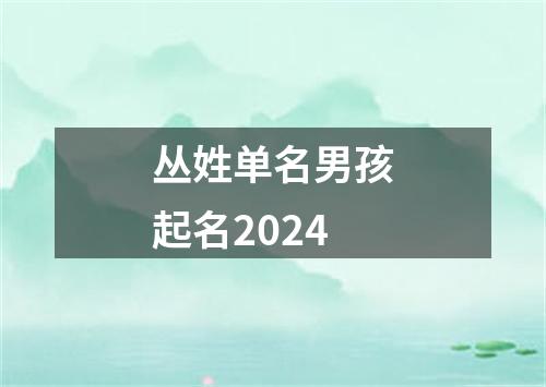 丛姓单名男孩起名2024