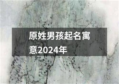 原姓男孩起名寓意2024年