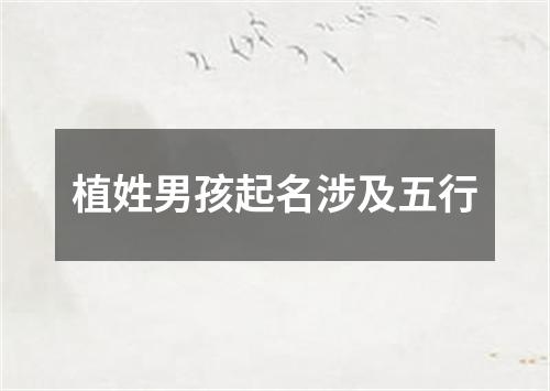 植姓男孩起名涉及五行