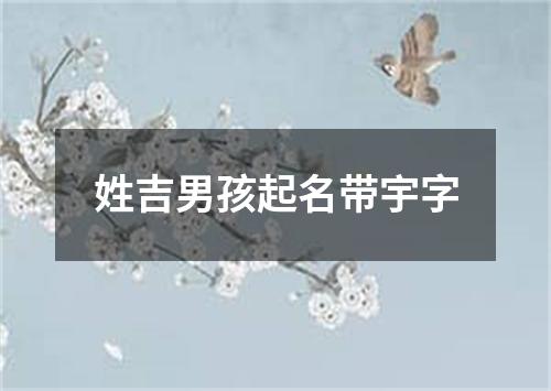 姓吉男孩起名带宇字