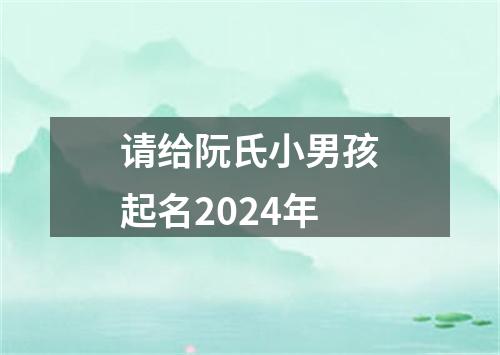 请给阮氏小男孩起名2024年