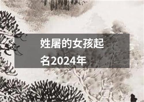 姓屠的女孩起名2024年