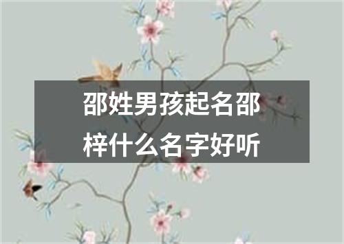 邵姓男孩起名邵梓什么名字好听